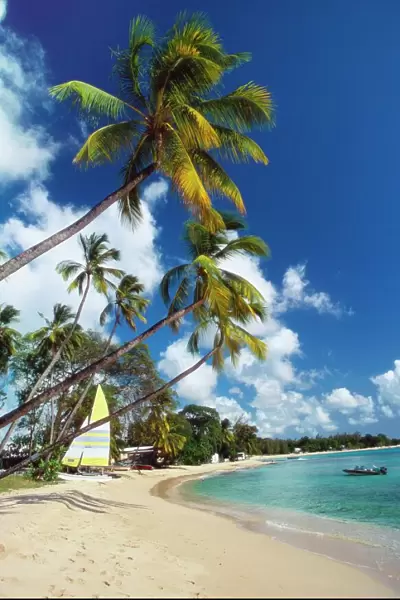 Mullins Beach, St Peters Parish, Barbados, Caribbean