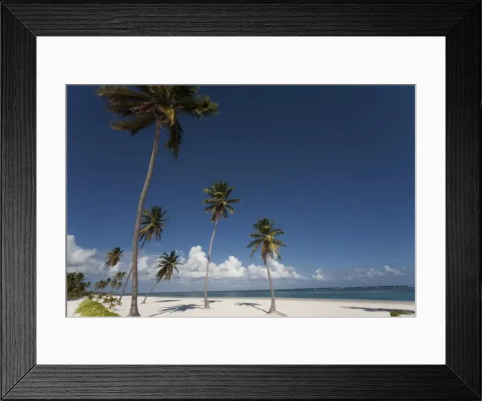 Framed Print : Punta Cana, Dominican Republic, West Indies, Caribbean, Central America Framed Print : Punta Cana, Dominican Republic, West Indies, Caribbean, Central America
