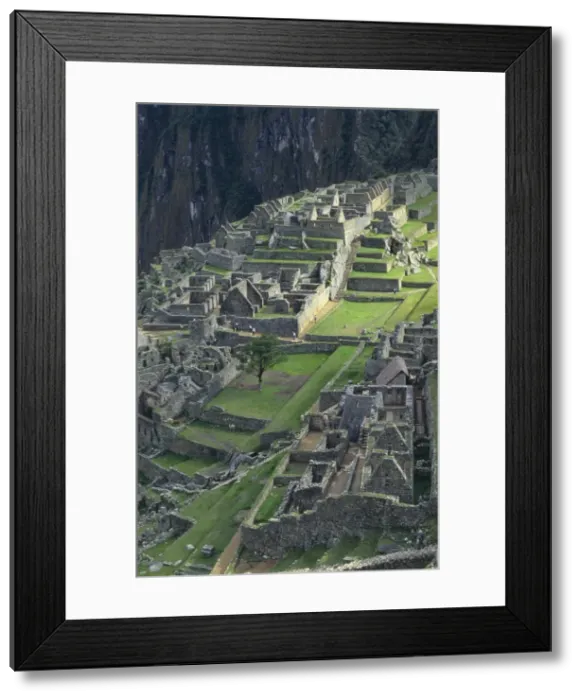Framed Print : Machu Picchu Ancient Ruins, Peru Framed Print : Machu Picchu Ancient Ruins, Peru