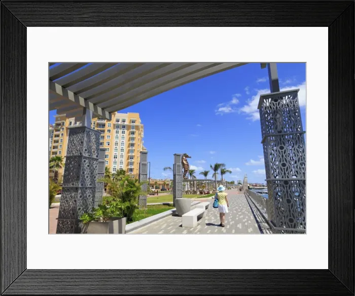 Framed Print : Bahia Urbana in San Juan, Puerto Rico, West Indies, Caribbean, Central America Framed Print : Bahia Urbana in San Juan, Puerto Rico, West Indies, Caribbean, Central America