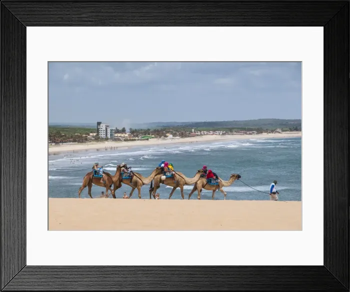 Framed Print : Camel riding in the famous sand dunes of Natal, Rio Grande do Norte, Brazil, South America Framed Print : Camel riding in the famous sand dunes of Natal, Rio Grande do Norte, Brazil, South America