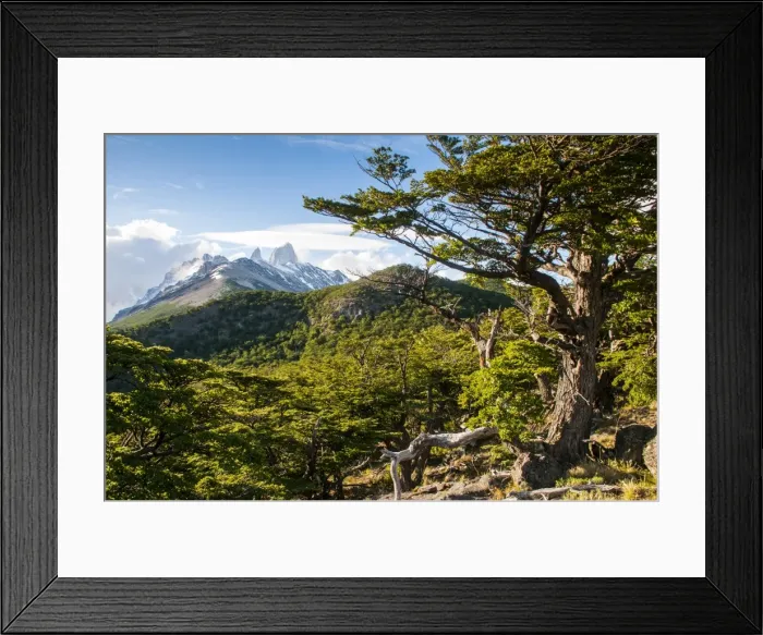 Framed Print : Trek up to Mount Fitzroy from the Unesco world heritage sight El Chalten, Argentina, South America Framed Print : Trek up to Mount Fitzroy from the Unesco world heritage sight El Chalten, Argentina, South America