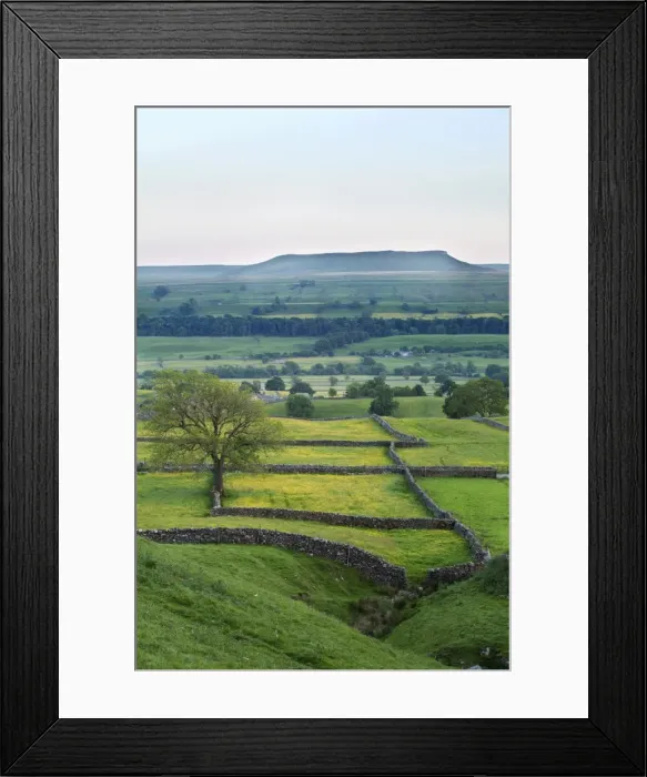 Framed Print : Addleborough from above Askrigg at dusk in summer, Wensleydale, Yorkshire Dales National Park, Yorkshire, England, United Kingdom, Europe Framed Print : Addleborough from above Askrigg at dusk in summer, Wensleydale, Yorkshire Dales National Park, Yorkshire, England, United Kingdom, Europe