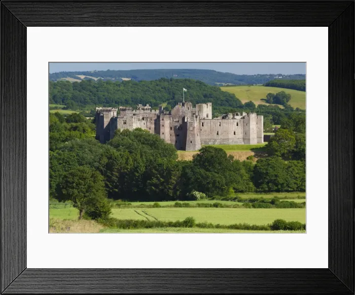 Framed Print : Raglan Castle, Monmouthshire, Wales, United Kingdom, Europe Framed Print : Raglan Castle, Monmouthshire, Wales, United Kingdom, Europe