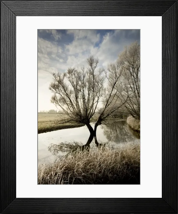 Framed Print : A winter flood with hoar frost occurs at the source of the River Thames at Waterhay, Gloucestershire, England, United Kingdom, Europe Framed Print : A winter flood with hoar frost occurs at the source of the River Thames at Waterhay, Gloucestershire, England, United Kingdom, Europe