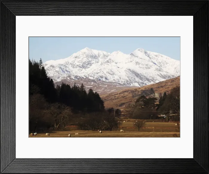 Framed Print : Mount Snowdon capped with snow as Welsh sheep graze on a sunny spring day in Snowdonia National Park, Wales, United Kingdom, Europe Framed Print : Mount Snowdon capped with snow as Welsh sheep graze on a sunny spring day in Snowdonia National Park, Wales, United Kingdom, Europe