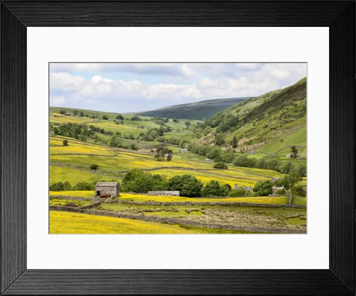 Framed Print : Summer buttercups in Upper Swaledale near Thwaite, Yorkshire Dales, Yorkshire, England, United Kingdom, Europe Framed Print : Summer buttercups in Upper Swaledale near Thwaite, Yorkshire Dales, Yorkshire, England, United Kingdom, Europe