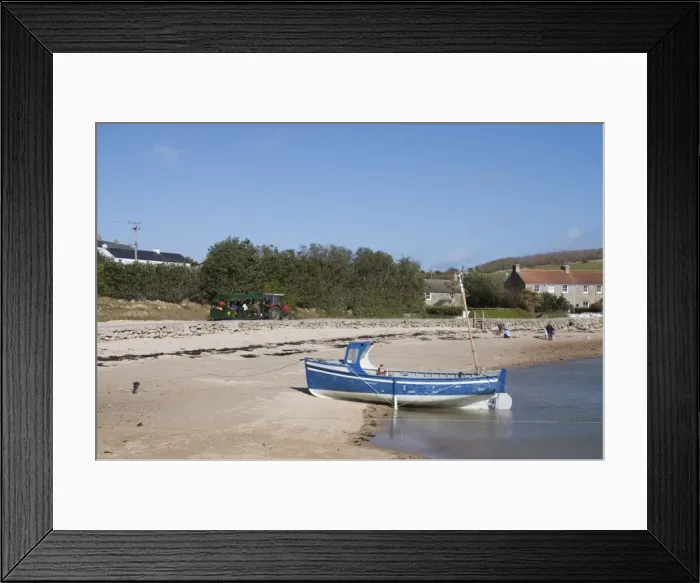 Framed Print : Tresco, Isles of Scilly, United Kingdom, Europe Framed Print : Tresco, Isles of Scilly, United Kingdom, Europe