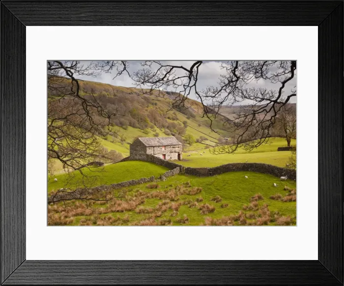 Framed Print : Stone barn in the Swaledale area of the Yorkshire Dales National Park, Yorkshire, England, United Kingdom, Europe Framed Print : Stone barn in the Swaledale area of the Yorkshire Dales National Park, Yorkshire, England, United Kingdom, Europe