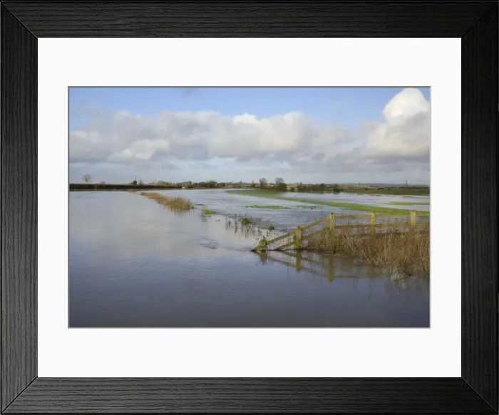 Framed Print : Hugely swollen River Parrett overflowing onto Aller Moor near Staithe after weeks of heavy rain, Somerset Levels, Somerset, England, United Kingdom, Europe Framed Print : Hugely swollen River Parrett overflowing onto Aller Moor near Staithe after weeks of heavy rain, Somerset Levels, Somerset, England, United Kingdom, Europe