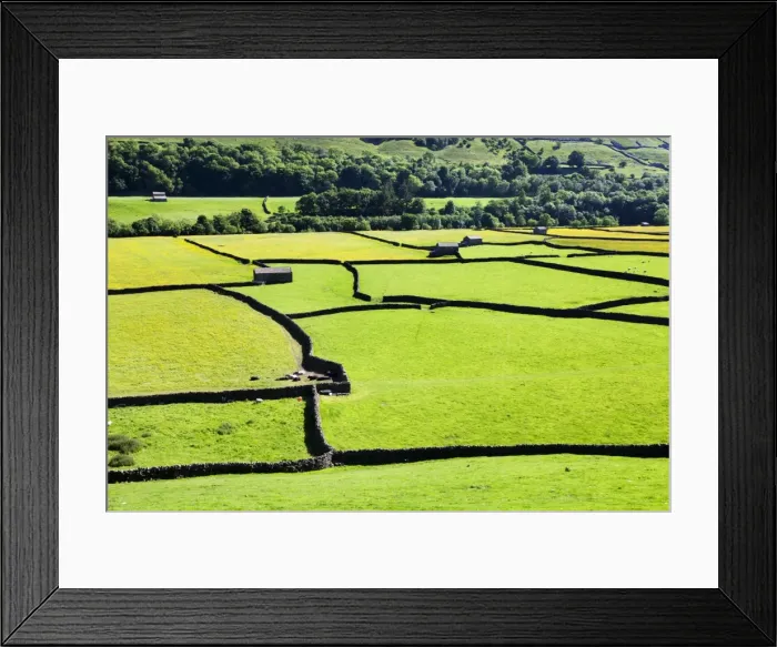 Framed Print : Barn and dry stone walls in meadows at Gunnerside, Swaledale, Yorkshire Dales, Yorkshire, England, United Kingdom, Europe Framed Print : Barn and dry stone walls in meadows at Gunnerside, Swaledale, Yorkshire Dales, Yorkshire, England, United Kingdom, Europe
