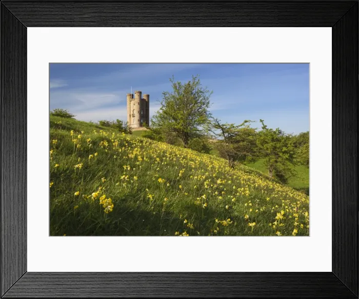 Framed Print : Broadway Tower with cowslips, Broadway, Worcestershire, England, United Kingdom, Europe Framed Print : Broadway Tower with cowslips, Broadway, Worcestershire, England, United Kingdom, Europe