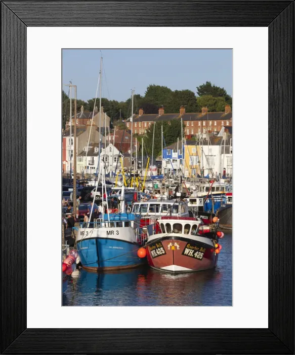 Framed Print : Fishing boats in the Old Harbour, Weymouth, Dorset, England, United Kingdom, Europe Framed Print : Fishing boats in the Old Harbour, Weymouth, Dorset, England, United Kingdom, Europe