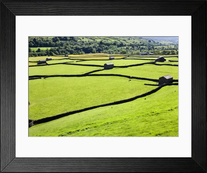 Framed Print : Barn and dry stone walls in meadows at Gunnerside, Swaledale, Yorkshire Dales, Yorkshire, England, United Kingdom, Europe Framed Print : Barn and dry stone walls in meadows at Gunnerside, Swaledale, Yorkshire Dales, Yorkshire, England, United Kingdom, Europe
