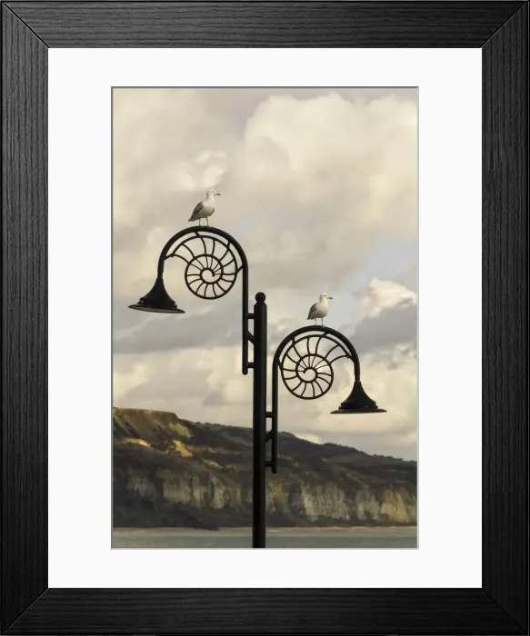 Framed Print : The famous Ammonite design streetlghts in Lyme Regis, Dorset, England, United Kingdom, Europe Framed Print : The famous Ammonite design streetlghts in Lyme Regis, Dorset, England, United Kingdom, Europe