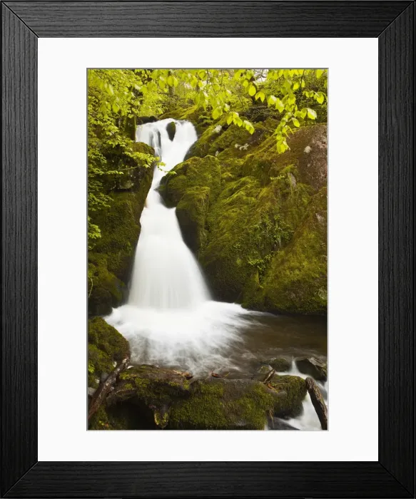 Framed Print : Part of Stock Ghyll Force waterfall near Ambleside, Lake District National Park, Cumbria, England, United Kingdom, Europe Framed Print : Part of Stock Ghyll Force waterfall near Ambleside, Lake District National Park, Cumbria, England, United Kingdom, Europe