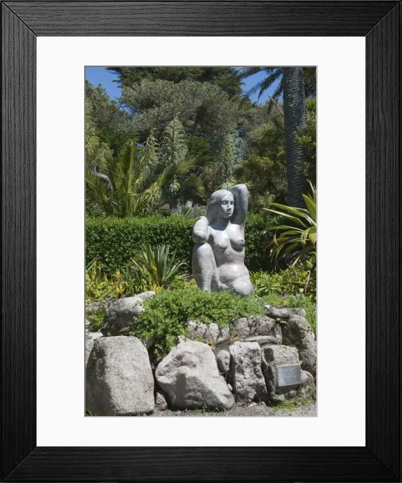 Framed Print : Abbey Gardens, Tresco, Isles of Scilly, Cornwall, United Kingdom, Europe Framed Print : Abbey Gardens, Tresco, Isles of Scilly, Cornwall, United Kingdom, Europe