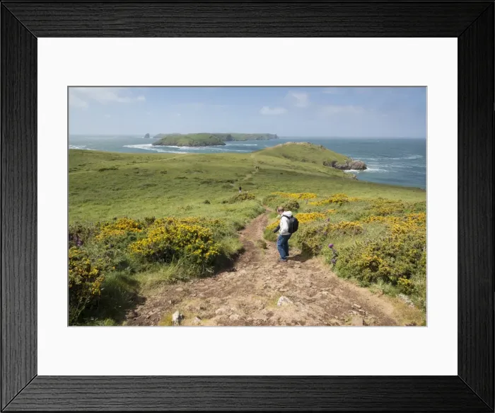Framed Print : Deer Park and Skomer Island, Marloes Peninsula, Pembrokeshire, Wales, United Kingdom, Europe Framed Print : Deer Park and Skomer Island, Marloes Peninsula, Pembrokeshire, Wales, United Kingdom, Europe