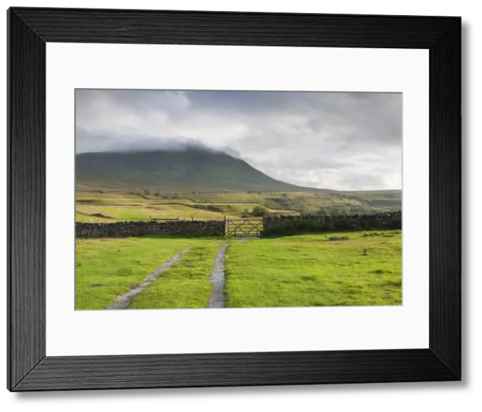 Framed Print : Evening light at Ingleborough Mountain, Ingleborough National Nature Reserve, Yorkshire Dales, North Yorkshire, England, United Kingdom, Europe Framed Print : Evening light at Ingleborough Mountain, Ingleborough National Nature Reserve, Yorkshire Dales, North Yorkshire, England, United Kingdom, Europe