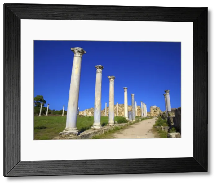 Framed Print : Colonnades of the Gymnasium, Salamis, North Cyprus, Cyprus, Europe Framed Print : Colonnades of the Gymnasium, Salamis, North Cyprus, Cyprus, Europe