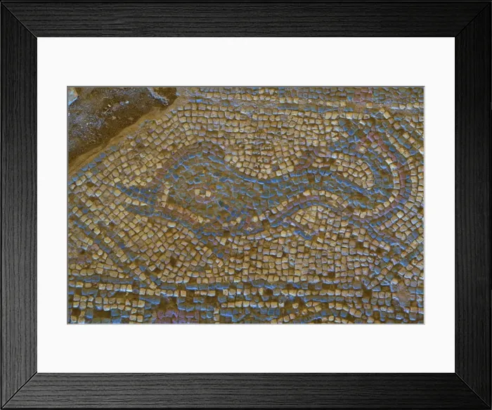 Framed Print : Mosaic of dolphin from Temple to Athena, Soloi, North Cyprus, Cyprus, Europe Framed Print : Mosaic of dolphin from Temple to Athena, Soloi, North Cyprus, Cyprus, Europe