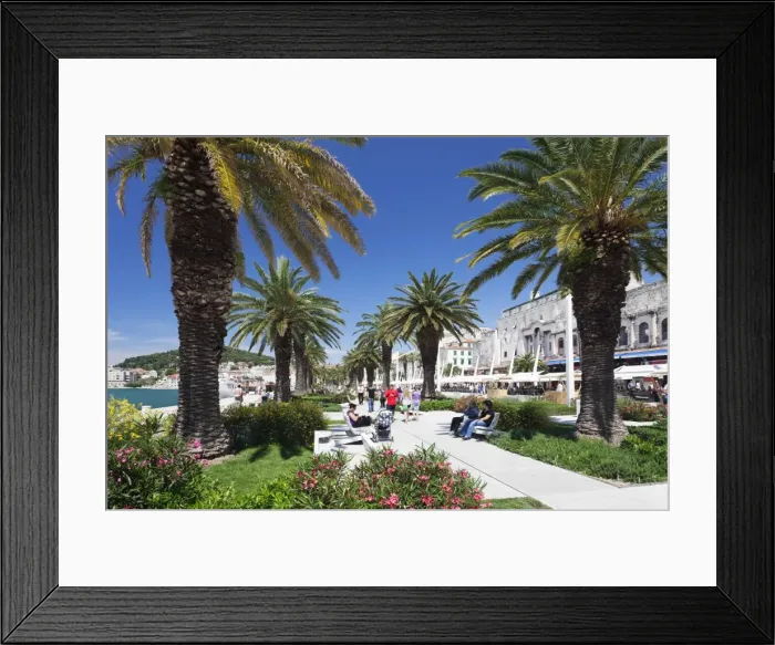 Framed Print : Palm trees and promenade, Split, Dalmatia, Croatia, Europe Framed Print : Palm trees and promenade, Split, Dalmatia, Croatia, Europe