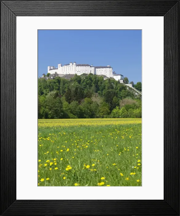 Framed Print : Hohensalzburg Fortress, Salzburg, Salzburger Land, Austria, Europe Framed Print : Hohensalzburg Fortress, Salzburg, Salzburger Land, Austria, Europe