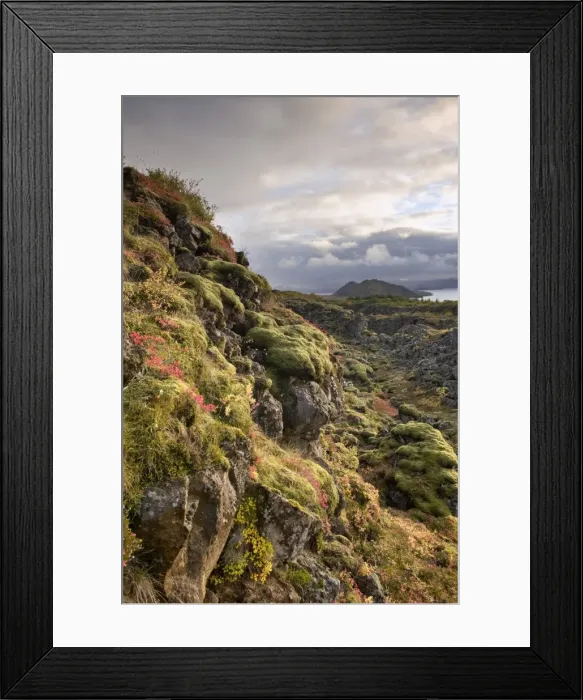 Framed Print : Thingvellir National Park, UNESCO World Heritage Site, Iceland, Polar Regions Framed Print : Thingvellir National Park, UNESCO World Heritage Site, Iceland, Polar Regions