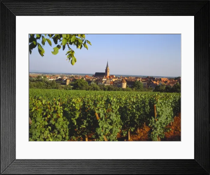 Framed Print : Bergheim, Alsace, France Framed Print : Bergheim, Alsace, France