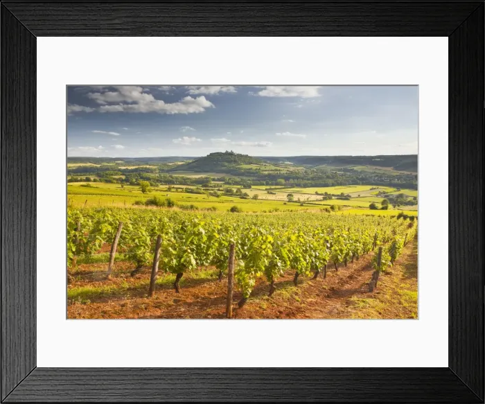 Framed Print : Vineyards near to the Beaux Village de France of Vezelay in the Yonne area, Burgundy, France, Europe Framed Print : Vineyards near to the Beaux Village de France of Vezelay in the Yonne area, Burgundy, France, Europe
