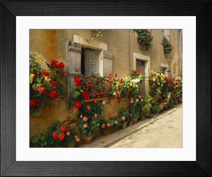 Framed Print : Exterior of a Rustic House Covered with Flowers, Landes, Aquitaine, France Framed Print : Exterior of a Rustic House Covered with Flowers, Landes, Aquitaine, France