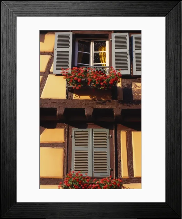 Framed Print : Flower Boxes on a House in Niedermorschwihr, Upper Alsace, Alsace, France Framed Print : Flower Boxes on a House in Niedermorschwihr, Upper Alsace, Alsace, France