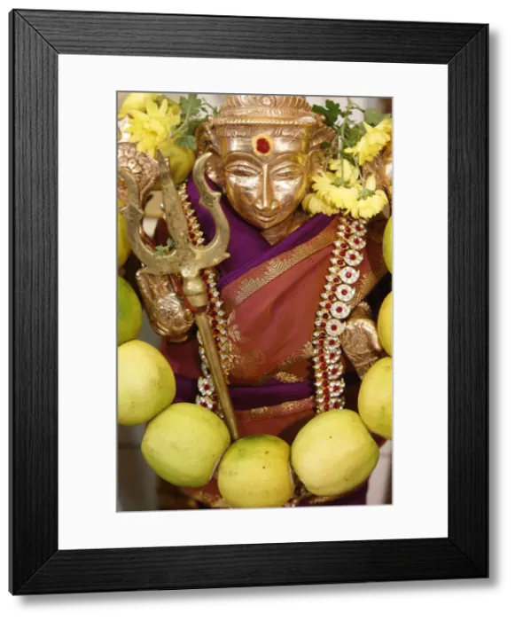 Framed Print : The Hindu goddess Durga at Diwali celebration at the Paris Ganesh temple, Paris, France, Europe Framed Print : The Hindu goddess Durga at Diwali celebration at the Paris Ganesh temple, Paris, France, Europe