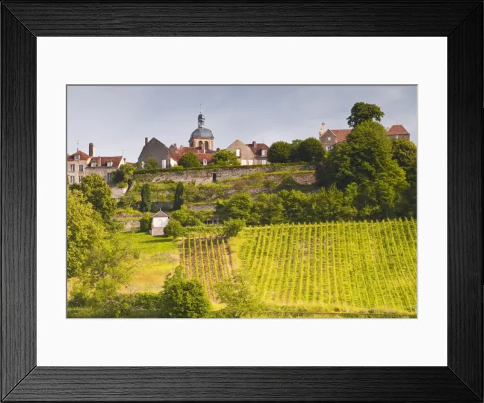 Framed Print : The vineyards of Le Clos below the hilltop village of Vezelay in Burgundy, France, Europe Framed Print : The vineyards of Le Clos below the hilltop village of Vezelay in Burgundy, France, Europe