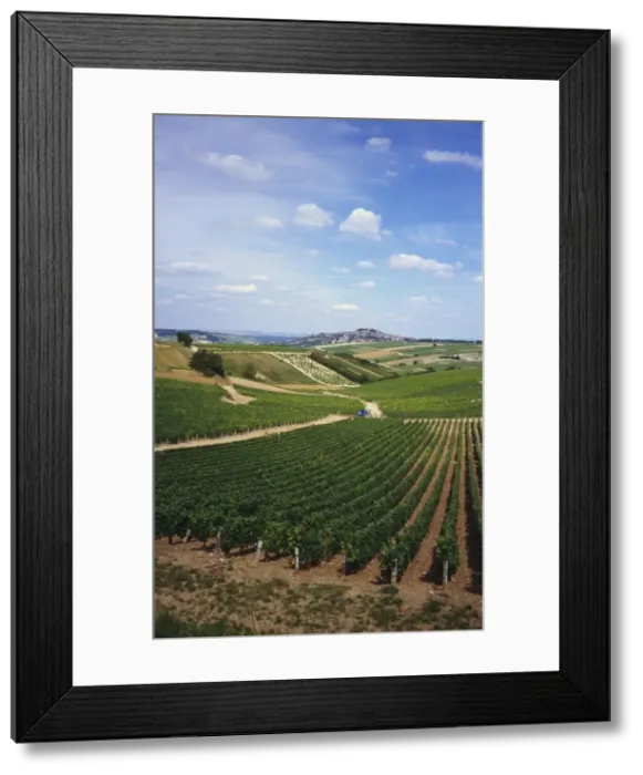 Framed Print : Vineyards, Loire Valley and Sancerre in the Distance, France Framed Print : Vineyards, Loire Valley and Sancerre in the Distance, France