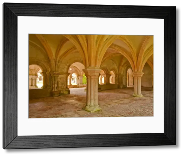 Framed Print : The chapter house of Fontenay Abbey, UNESCO World Heritage Site, Cote d Or, Burgundy, France, Europe