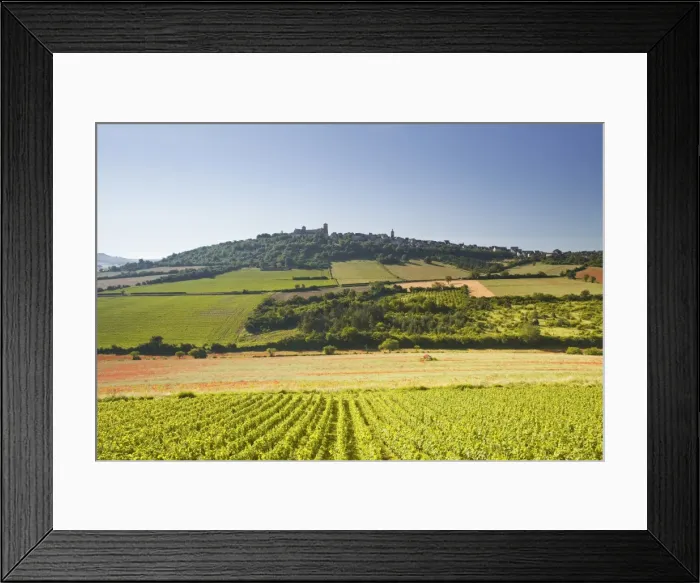 Framed Print : Vineyards near to the hilltop village of Vezelay in the Yonne area of Burgundy, France, Europe Framed Print : Vineyards near to the hilltop village of Vezelay in the Yonne area of Burgundy, France, Europe