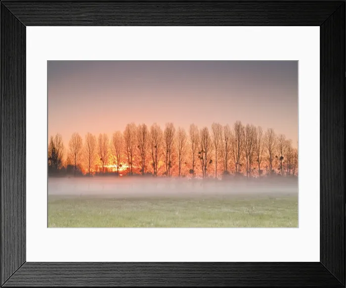 Framed Print : The morning sun lights up a band of mist, Indre-et-Loire, Centre, France, Europe Framed Print : The morning sun lights up a band of mist, Indre-et-Loire, Centre, France, Europe