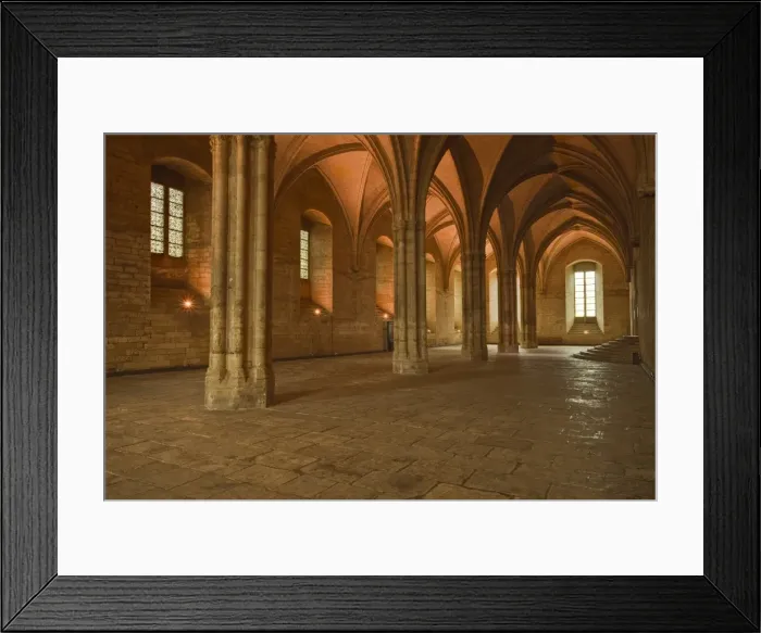 Framed Print : The Salle de la Grande Audience or Big Audience room inside the Palais des Papes, UNESCO World Heritage Site, Avignon, Vaucluse, France, Europe Framed Print : The Salle de la Grande Audience or Big Audience room inside the Palais des Papes, UNESCO World Heritage Site, Avignon, Vaucluse, France, Europe