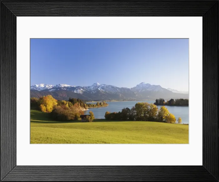 Framed Print : Forggensee Lake and Allgau Alps, Fussen, Ostallgau, Allgau, Allgau Alps, Bavaria, Germany, Europe Framed Print : Forggensee Lake and Allgau Alps, Fussen, Ostallgau, Allgau, Allgau Alps, Bavaria, Germany, Europe