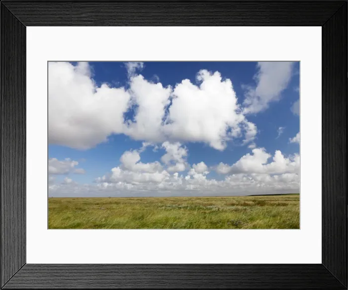 Framed Print : Salt meadow (salt marshes), Westerhever, Wadden Sea National Park, Eiderstedt Peninsula, Schleswig Holstein, Germany, Europe Framed Print : Salt meadow (salt marshes), Westerhever, Wadden Sea National Park, Eiderstedt Peninsula, Schleswig Holstein, Germany, Europe