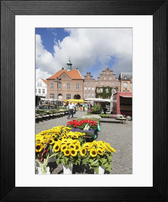 Framed Print : Weekly market at the market place of Husum, Schleswig Holstein, Germany, Europe Framed Print : Weekly market at the market place of Husum, Schleswig Holstein, Germany, Europe