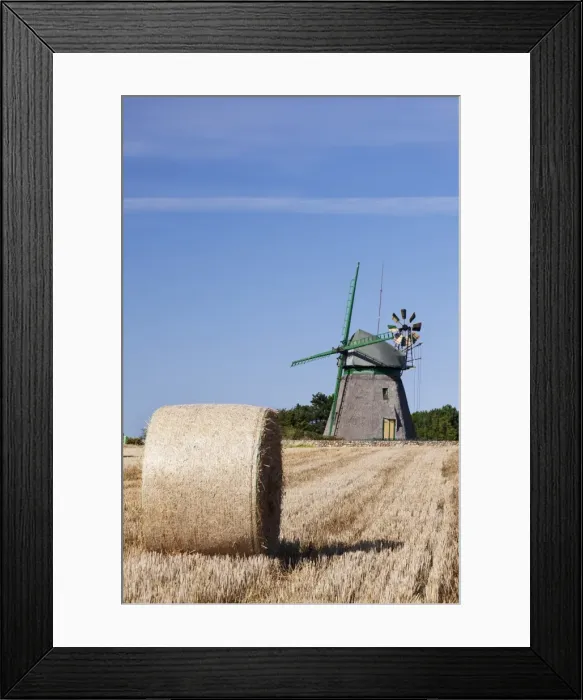 Framed Print : Old Dutch windmill, Nebel, Amrum, North Frisian Islands, Nordfriesland, Schleswig Holstein, Germany, Europe Framed Print : Old Dutch windmill, Nebel, Amrum, North Frisian Islands, Nordfriesland, Schleswig Holstein, Germany, Europe