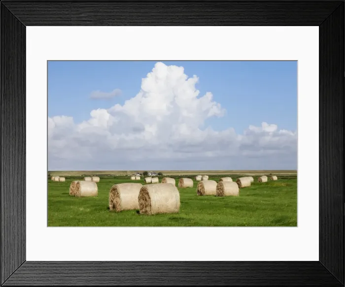 Framed Print : Hay bales on a meadow, Eiderstedt Peninsula, Schleswig Holstein, Germany, Europe Framed Print : Hay bales on a meadow, Eiderstedt Peninsula, Schleswig Holstein, Germany, Europe