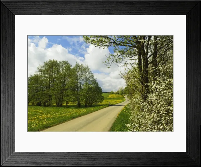 Framed Print : Rural scene in spring, Vogtland, Saxony, Germany, Europe Framed Print : Rural scene in spring, Vogtland, Saxony, Germany, Europe