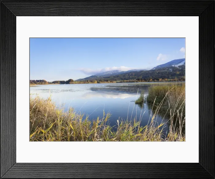Framed Print : Gruntensee in autumn, Ostallgau, Allgau, Allgau Alps, Bavaria, Germany, Europe Framed Print : Gruntensee in autumn, Ostallgau, Allgau, Allgau Alps, Bavaria, Germany, Europe