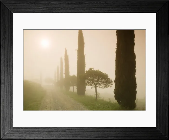 Framed Print : Cypress trees in the early morning fog, Val d Orcia, UNESCO World Heritage Site, Province Siena, Tuscany, Italy, Europe Framed Print : Cypress trees in the early morning fog, Val d Orcia, UNESCO World Heritage Site, Province Siena, Tuscany, Italy, Europe