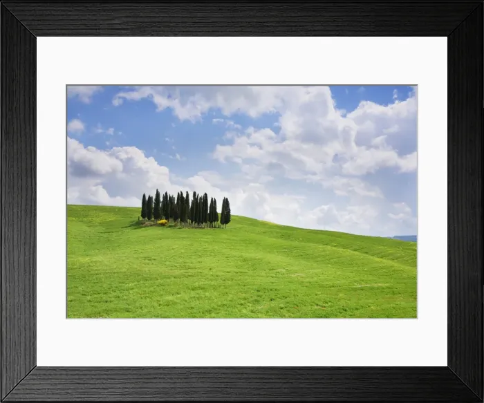 Framed Print : Group of cypress trees near San Quirico, Val d Orcia, UNESCO World Heritage Site, Province Siena, Tuscany, Italy, Europe Framed Print : Group of cypress trees near San Quirico, Val d Orcia, UNESCO World Heritage Site, Province Siena, Tuscany, Italy, Europe