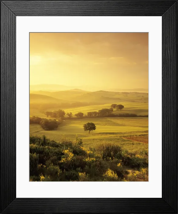 Framed Print : Single tree at sunrise, Orcia Valley (Val d Orcia), UNESCO World Heritage Site, Province of Siena, Tuscany, Italy, Europe Framed Print : Single tree at sunrise, Orcia Valley (Val d Orcia), UNESCO World Heritage Site, Province of Siena, Tuscany, Italy, Europe