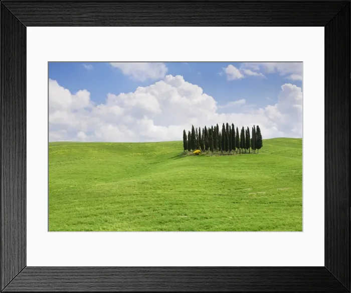 Framed Print : Landscape with cypress trees near San Quirico, Val d Orcia, UNESCO World Heritage Site, Tuscany, Italy, Europe Framed Print : Landscape with cypress trees near San Quirico, Val d Orcia, UNESCO World Heritage Site, Tuscany, Italy, Europe